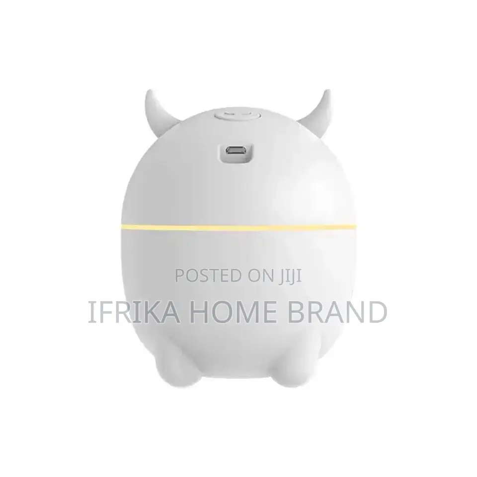 Humidifier Portable USB Ultrasonic Aroma Diffuser Cool Mist