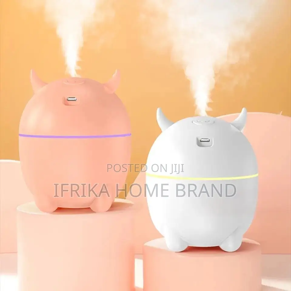 Humidifier Portable USB Ultrasonic Aroma Diffuser Cool Mist