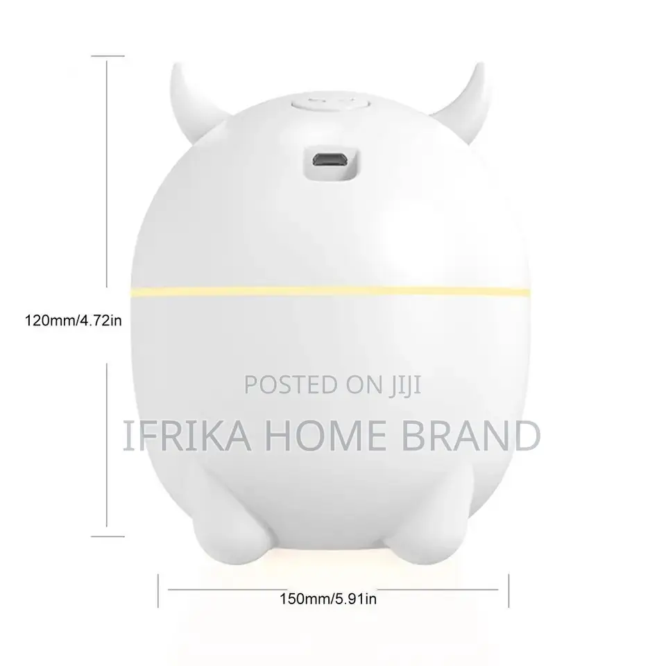 Humidifier Portable USB Ultrasonic Aroma Diffuser Cool Mist