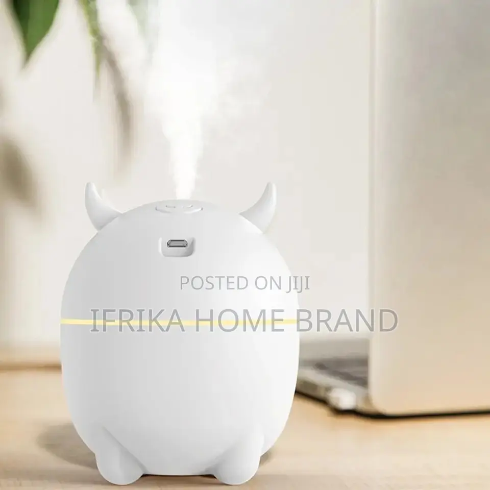 Humidifier Portable USB Ultrasonic Aroma Diffuser Cool Mist