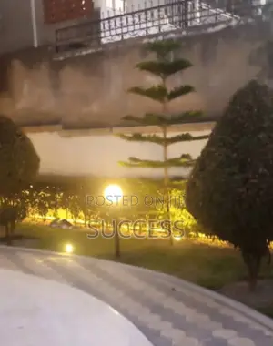 Garden Lights