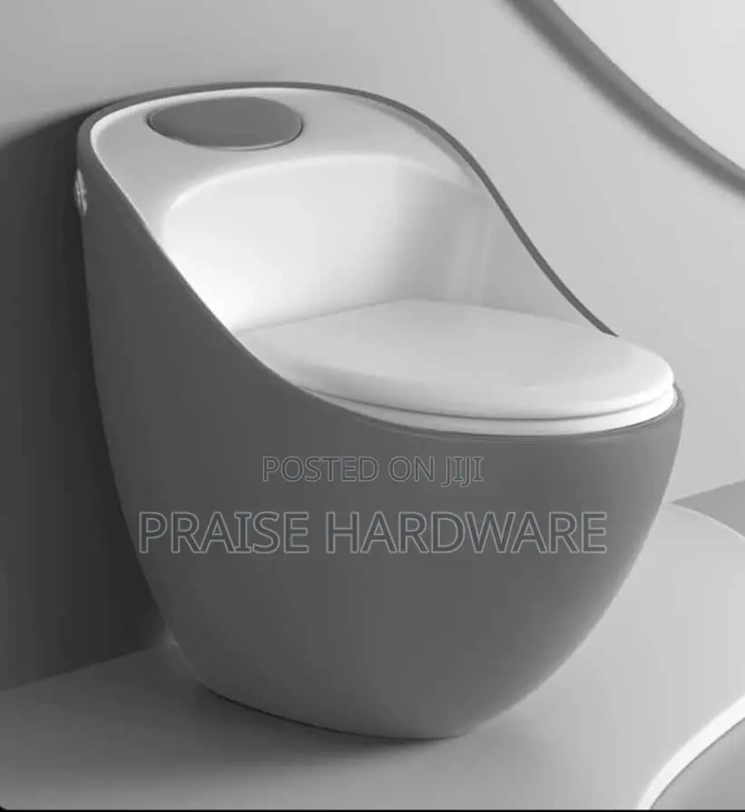 Exotic Toilet