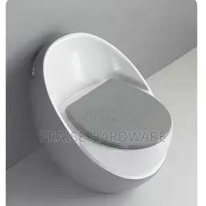 Exotic Toilet
