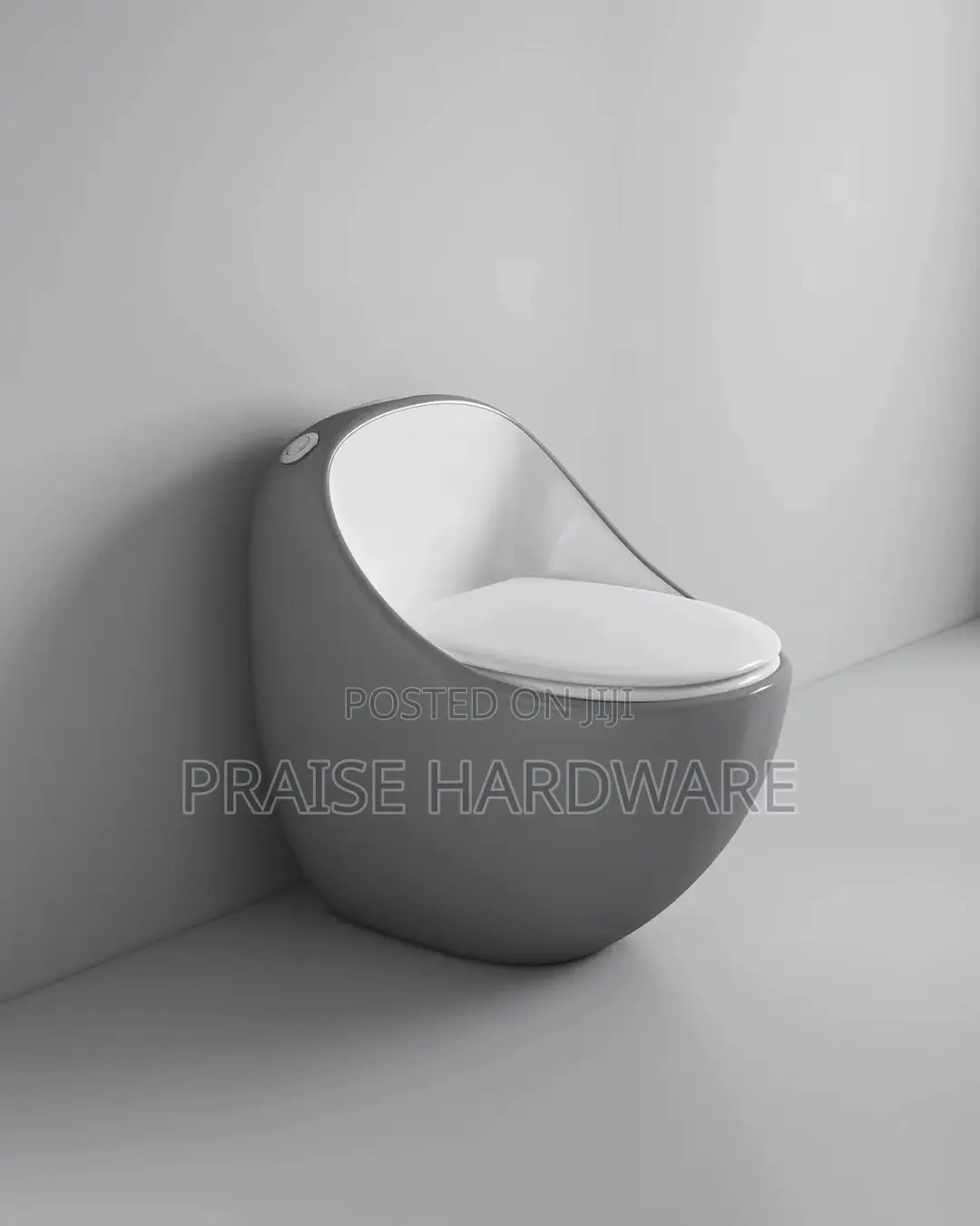 Exotic Toilet