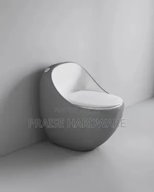 Exotic Toilet