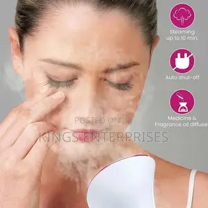 Household Fascial Steamer