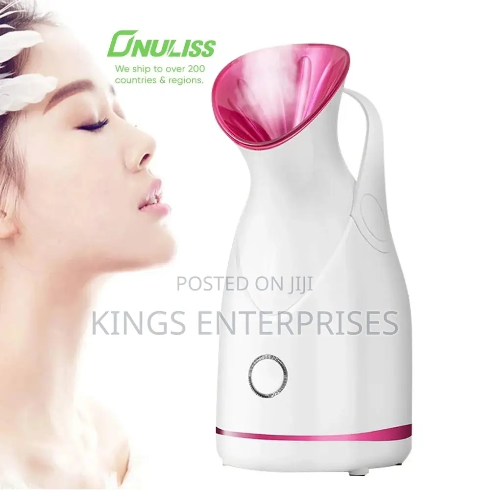 Household Fascial Steamer