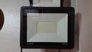 100w Flood Light