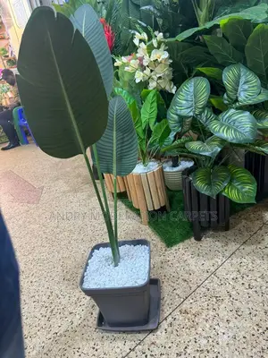Artificial Plants and Flowers
