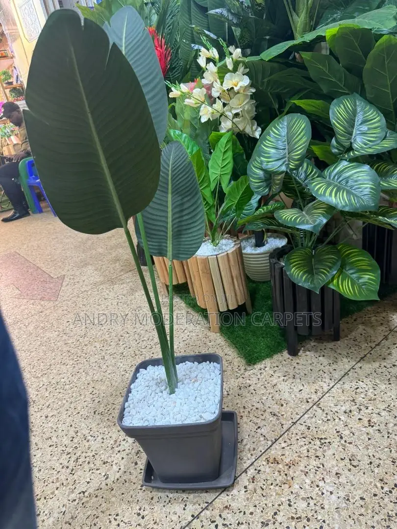 Artificial Plants and Flowers