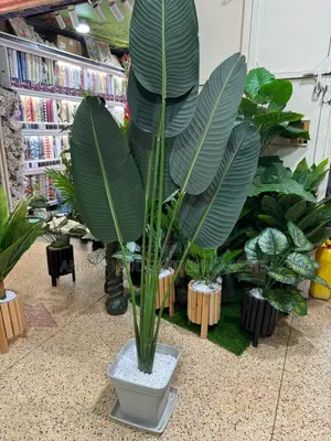 Artificial Plants and Flowers