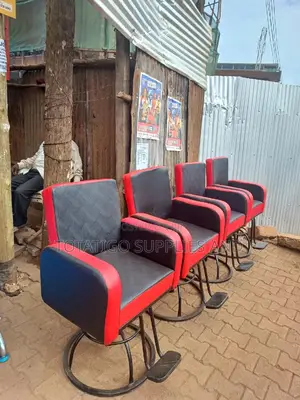 Strong Nice Saloon Chairs