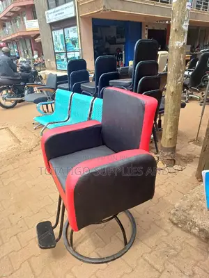 Strong Nice Saloon Chairs