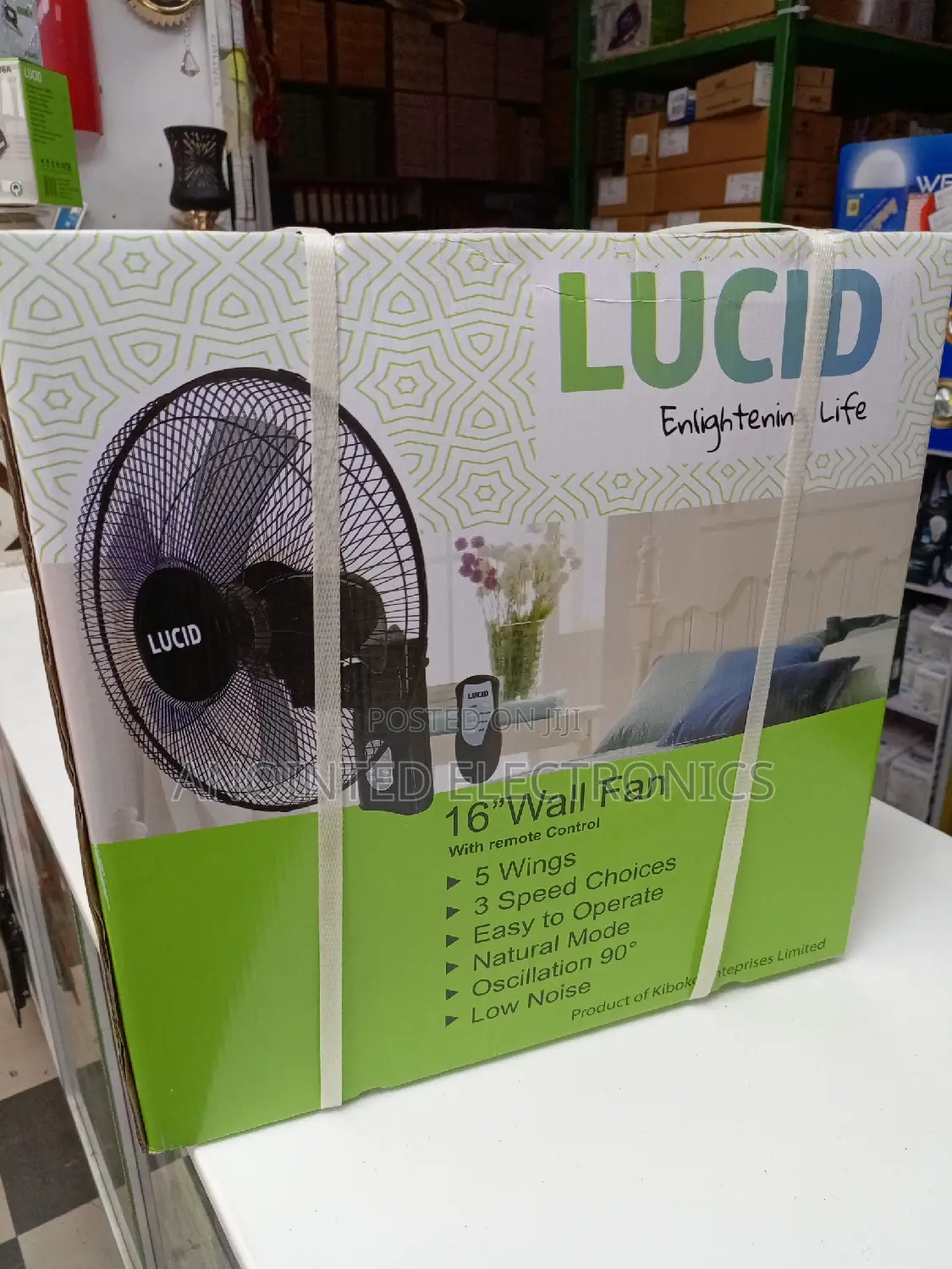 Lucid Wall Black Fans