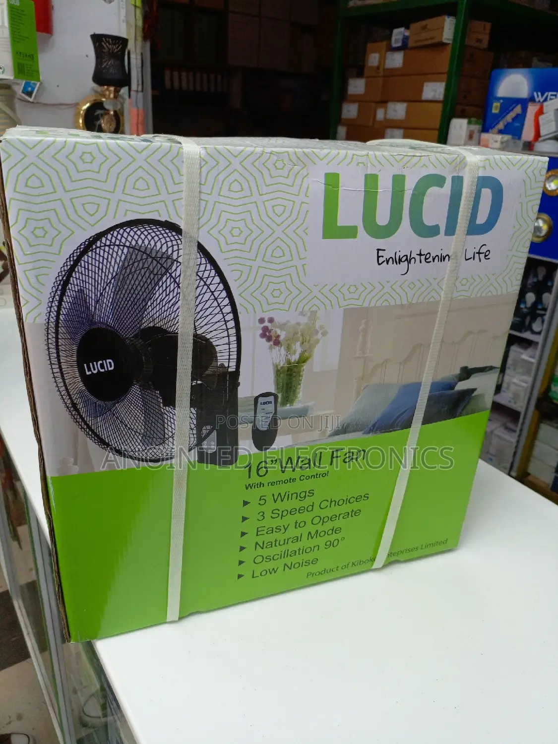 Lucid Wall Black Fans