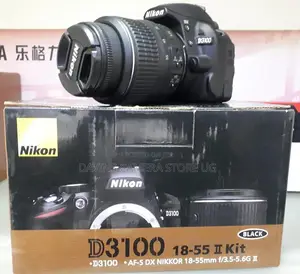 Nikon 3100
