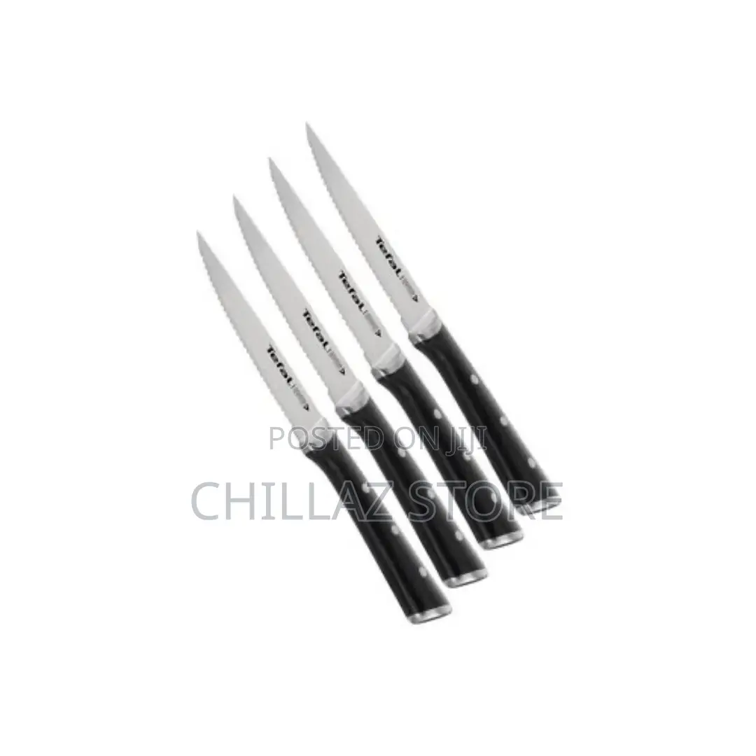 Tefal Stainless Steel Steak Knives-Set of 4- Ice Force