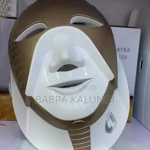 Electric Facial Mask