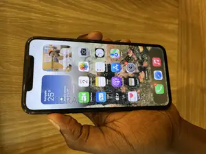 Apple iPhone 11 Pro Max 256 GB Gray