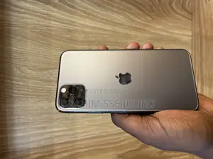 Apple iPhone 11 Pro Max 256 GB Gray