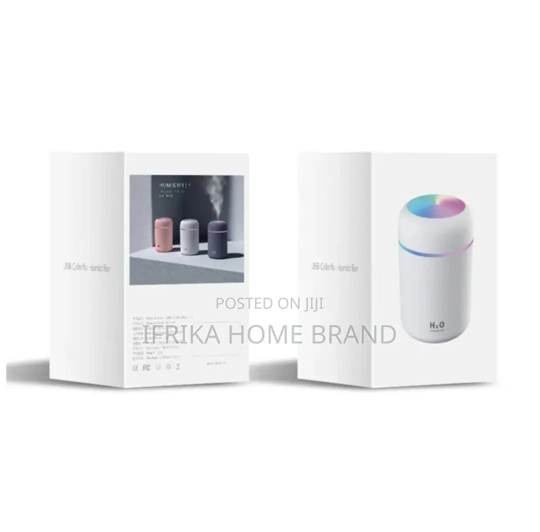 Air Humidifier Portable Mini USB 300ml H2O Aroma Diffuser