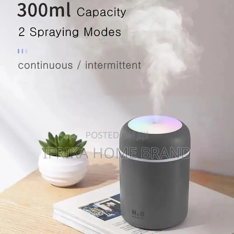 Air Humidifier Portable Mini USB 300ml H2O Aroma Diffuser