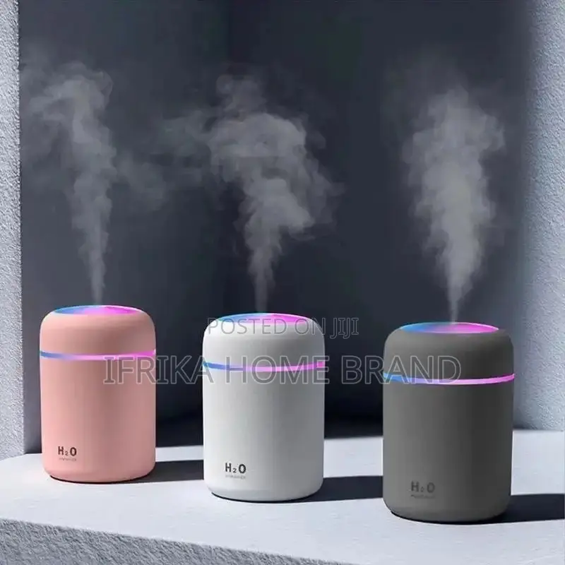 Air Humidifier Portable Mini USB 300ml H2O Aroma Diffuser