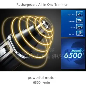 Kemei Rechargeable All in One Hair Trimmer for Men Women