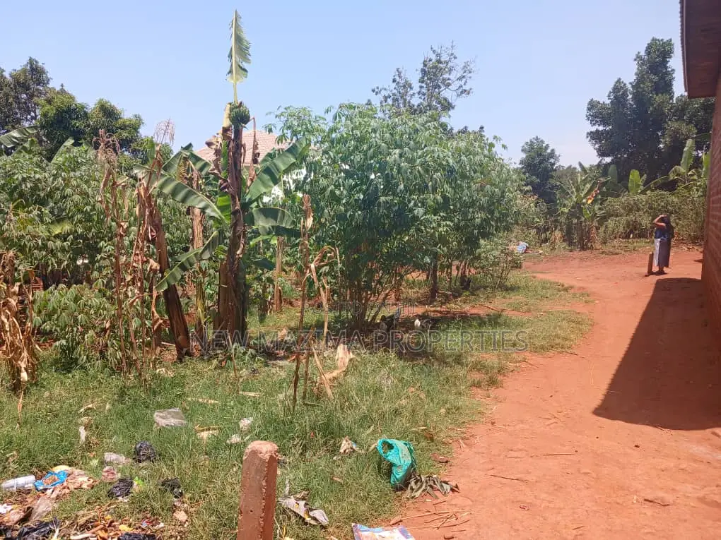 Affordable Plot on Quicksale in Munyonyo With Lake View