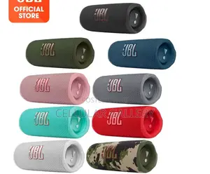 JBL Flip 6