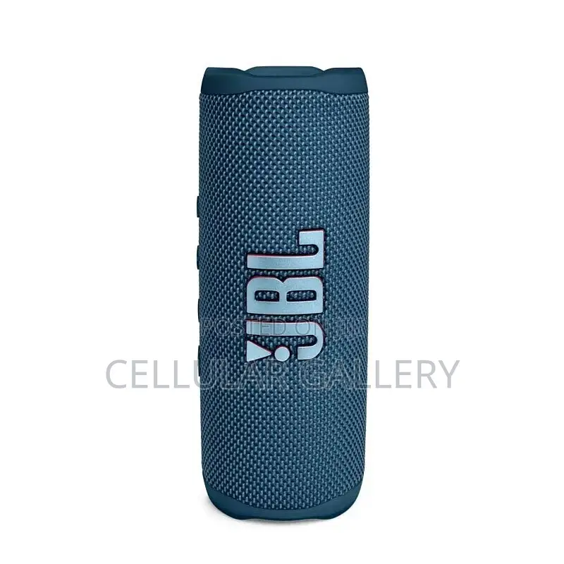JBL Flip 6