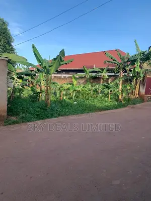 100by100ft Plot in Kisaasi