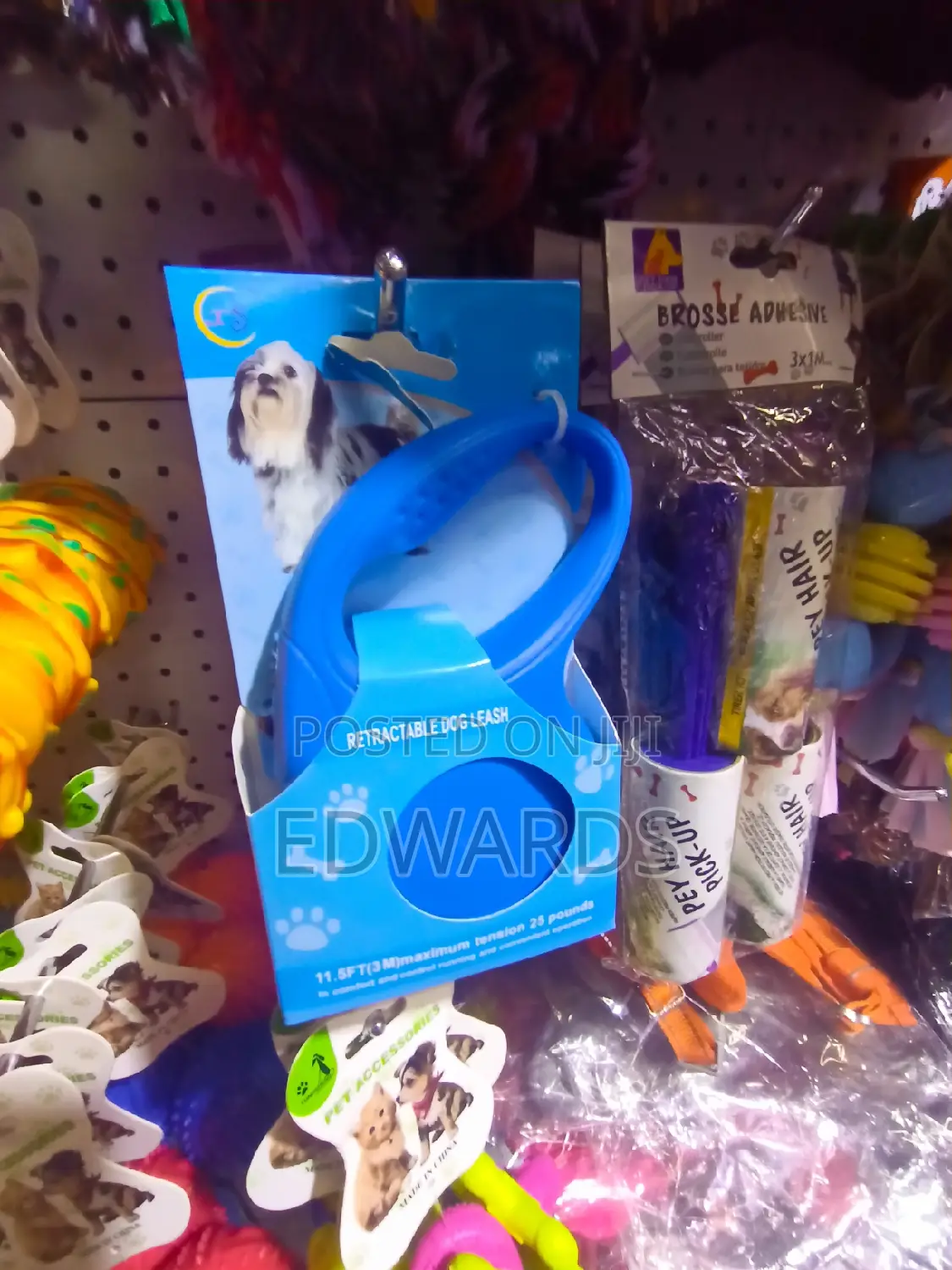 Retractable Leash