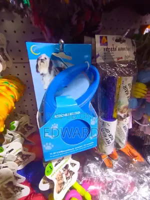 Retractable Leash