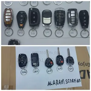 Original Alarm System for All Cars \~