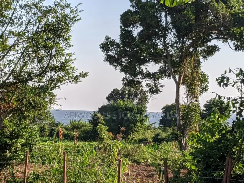 Land in Kigugu Entebbe 70 Decimals With a Lake View and a Land Title