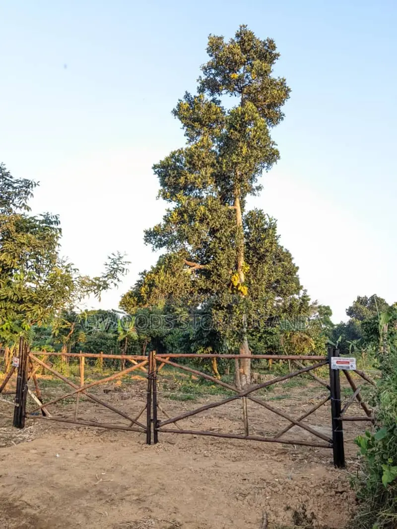 Land in Kigugu Entebbe 70 Decimals With a Lake View and a Land Title