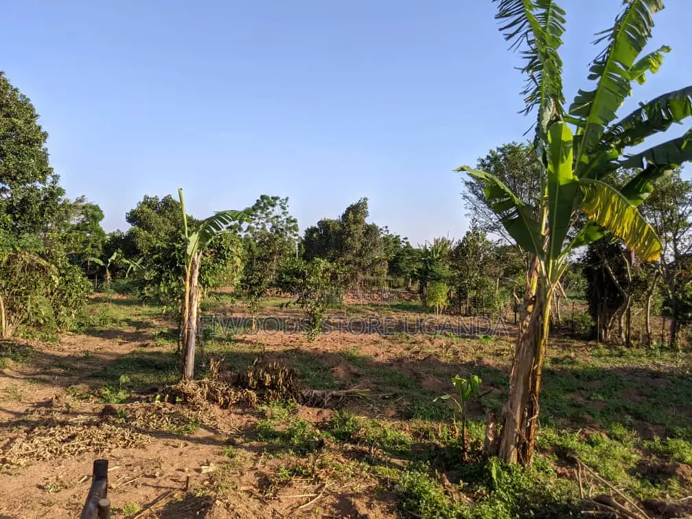 Land in Kigugu Entebbe 70 Decimals With a Lake View and a Land Title