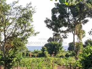 Land in Kigugu Entebbe 70 Decimals With a Lake View and a Land Title