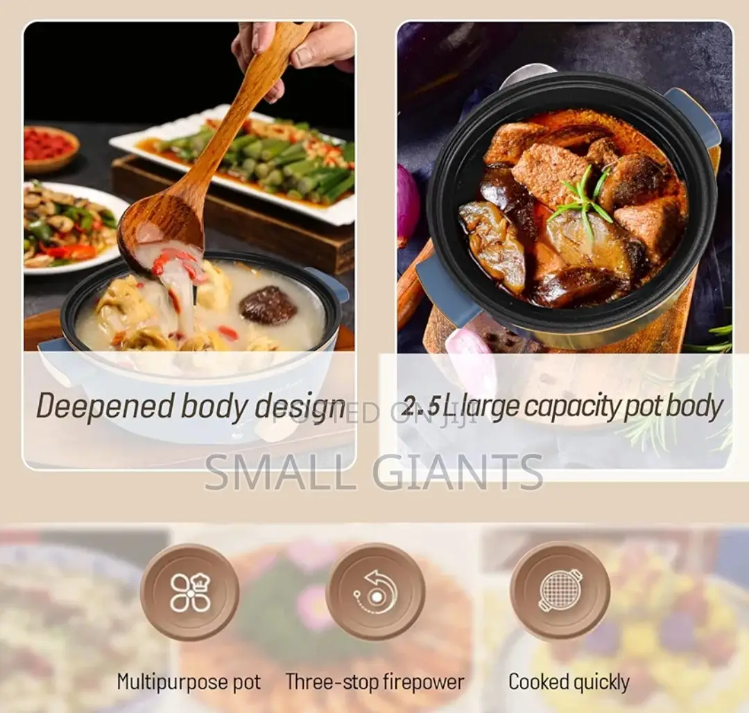 Multifunction Double Layer Electric Pot With Steaming Rack