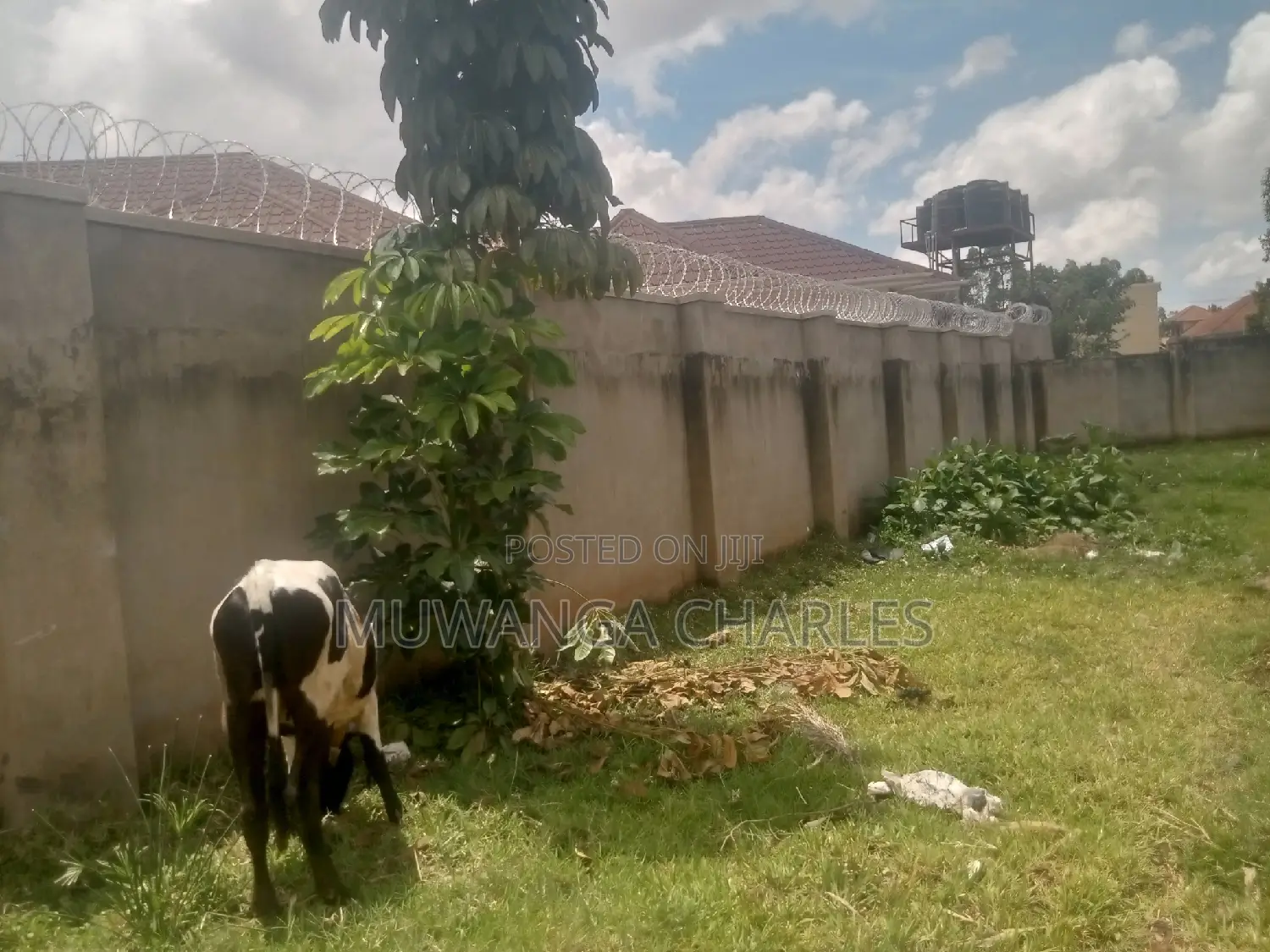20decimals of Land for Sale in Kungu