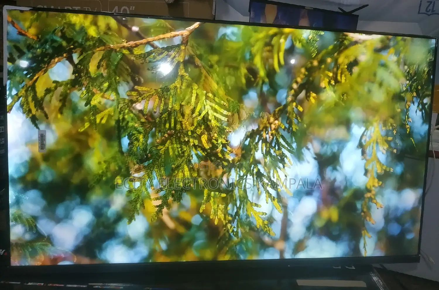 60"Inch Smart LG