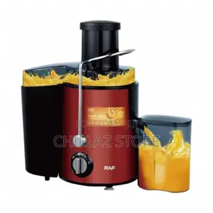 RAF Slow Masticating Juicer Blender Cold Press Juice Maker
