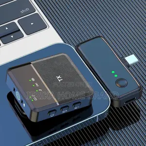 Multi-Function Wireless Microphones Audio Receiver Radio