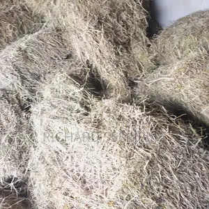 Photo - Hay Grass and Silage