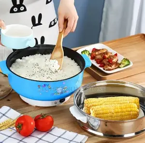 Electric Hot Pot