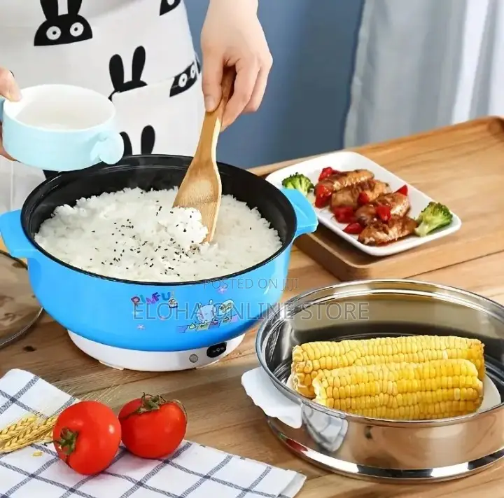 Electric Hot Pot