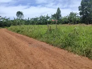 Photo - Plot in Maya Masaka Road