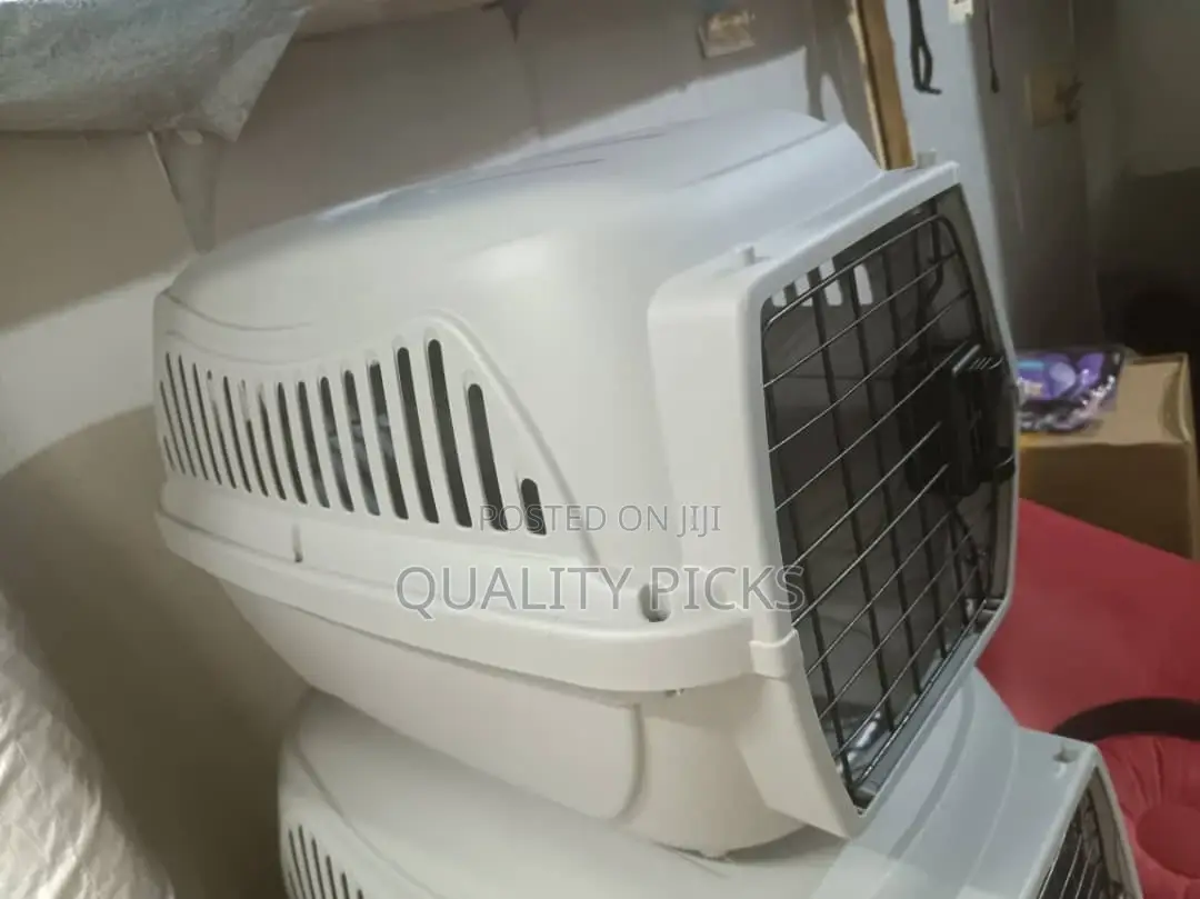 Plastic Dog Cage