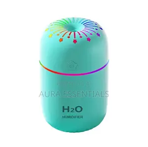 Portable Air Humidifier 300ml